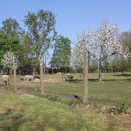 Beej Potters Bed & Breakfast Weert Bagian luar foto